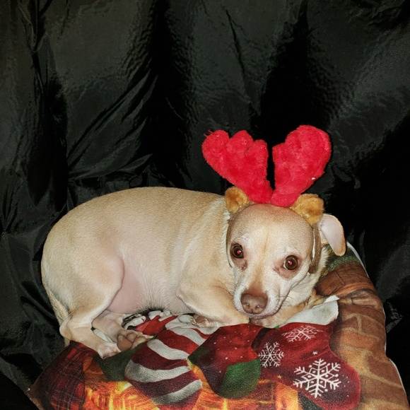 Meet your Posher, Heather - Picture 3 of 4